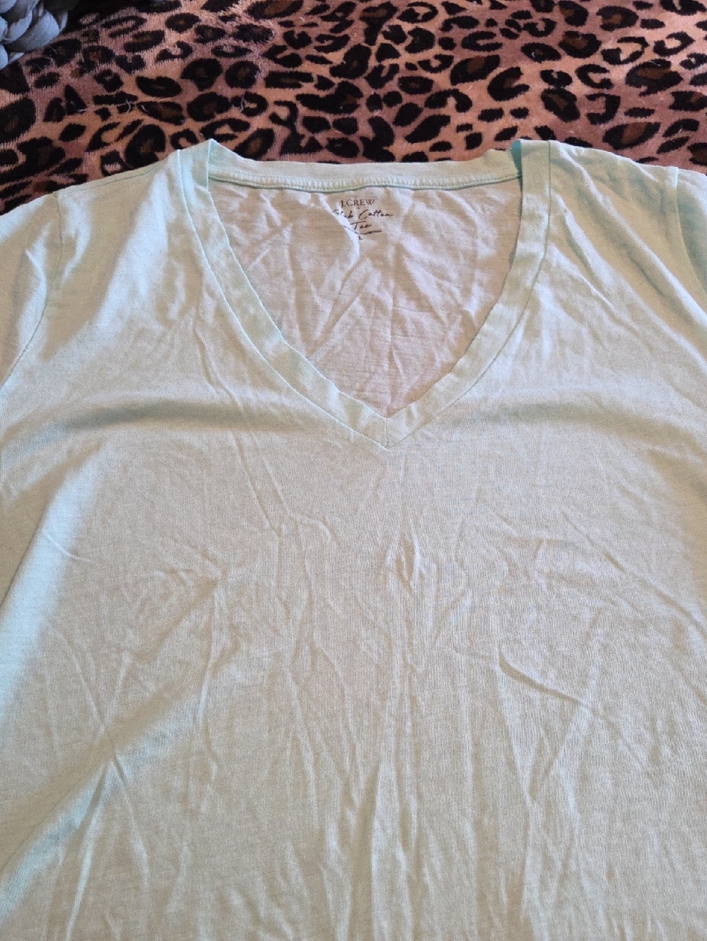 J. Crew Soft V-Neck Tee in Mint Green